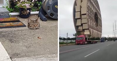 65 Photos So Perfectly Confusing That Even Your Second And Third Look Might Not Be Enough To Get It