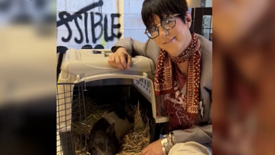 Diane Warren gives famous Hollywood pig Wilbur a seven-acre sanctuary