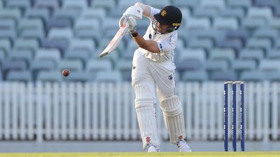 Fanning ditches crutches to guide WA to Shield win