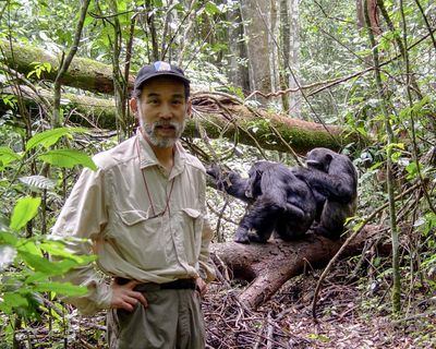 ‘I didn’t want to write about this’: the man who first saw chimps waging civil war