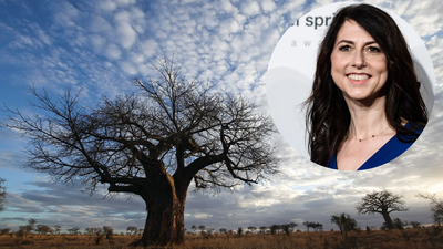 MacKenzie Scott gives Maliasili $15 million to scale conservation funding