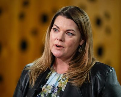 Greens prepare for fight with Labor over social media algorithm reform, with ‘pervert glasses’ in its sights