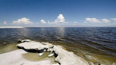 Salton Sea Wetland Expansion: California floods exposed lakebed; dust and habitat get joint fix
