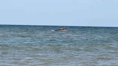 139 dead, 84 missing as overcrowded migrant boat sinks off Djibouti