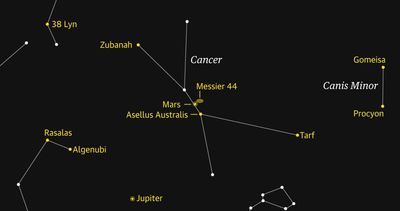 Starwatch: Mars signposts the beautiful Beehive cluster