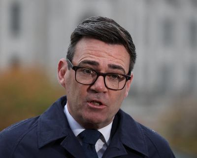 Burnham: not pursuing better EU deal would be ‘dereliction of duty’