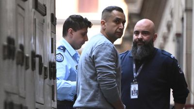Chess pro's alleged stalker goes on hunger strike