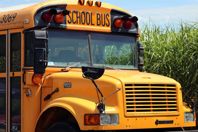 Parents Fight To Reinstate School Bus Driver Fired After Kitten Rescue, but District Cites 'Multiple Incidents'