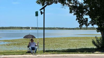 Photo: Fighting Flock From a Lawn Chair