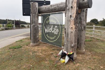 Resident criticises reaction to death of man in wildlife park tiger enclosure