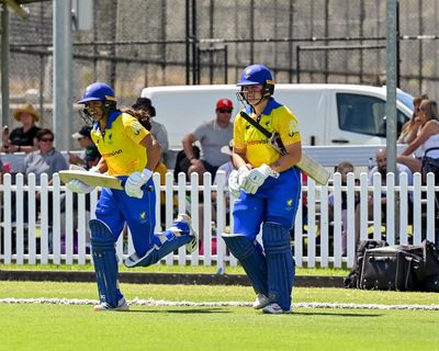 A handful of fans but $350K in bets: low-stakes cricket match exposes new threat to Australian sport