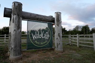 Council launches investigation after man killed by tiger at wildlife park