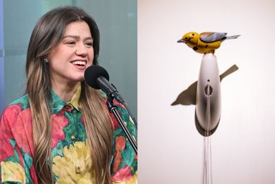 Kelly Clarkson and a local business are beefing on social media over a $15k bird — and neither is backing down