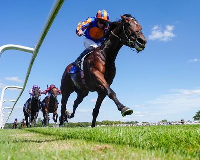 Champions Day – and Balding v O’Brien – can give Flat season a fitting finale