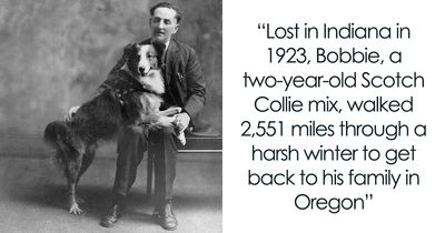 These 27 Animals Had No Idea They Were Heroes, But Their Stories Made Headlines Worldwide, As Shared By This Page