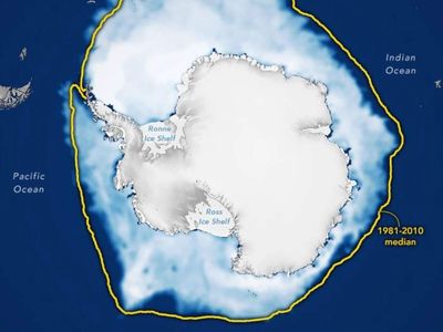 Antarctic sea ice hits alarming low in 2026: Scientists raise concerns over growing decline