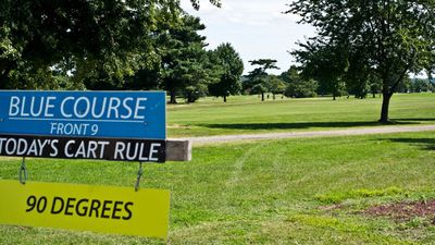 Trump officials cut down 430 trees in East Potomac Park over the weekend. Then the judge looks at their lawyers: ‘I am beyond disappointed’