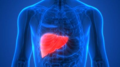 Liver Problems Aren’t Always Obvious — 9 Signs Worth Knowing