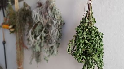 How to Dry Garden Herbs Before the Season Ends
