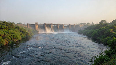 Why Fish Stop at Indian Dams and What a Working Fish Ladder Actually Needs
