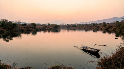 How Catla and Mrigal Stocking Changed Native Fish in Indian Reservoirs
