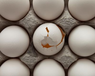 Egg ‘cartel’ of a dozen suppliers manipulated Australian market for years, regulator alleges