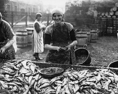Whale meat curry for dinner? Study of bygone seafood recipes shows how UK tastes have narrowed
