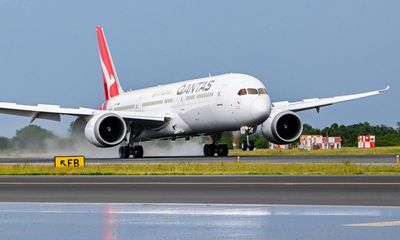 Bedbug infestation forces Qantas to ground plane in Rome