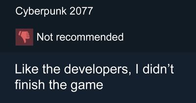 50 Times People’s Odd Steam Reviews Turned Into Comedy Gold