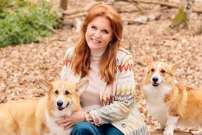 Former Duchess Of York Sarah Ferguson's Commemorative Plaque In Children's Hospital Removed Amid Epstein Fallout