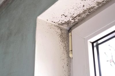 I’m a homecare expert. Here’s how to banish mould from your property this autumn