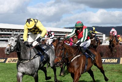 Willie Mullins fined and horse disqualified from Cheltenham race after failed doping test