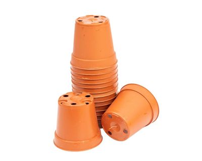 Houseplant hacks: is it eco-friendly or risky to reuse nursery pots?