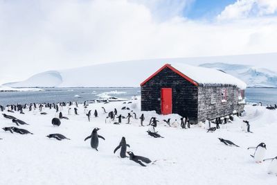 New team deployed to Antarctica to save historic UK base from climate crisis