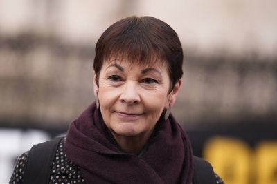 Pro-Palestine Greens call for former leader Caroline Lucas to be ousted over ‘Zionism is racism’ motion criticism