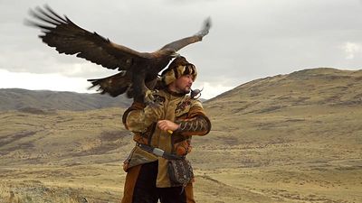 Kazakhstan’s first Open Asian Falconry Cup showcases ancient hunting heritage