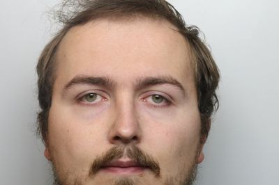 Former ride operator admits sexually assaulting 19 girls at theme park