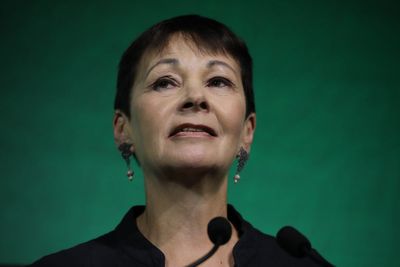 Green Party activists plotting to oust Caroline Lucas amid fallout over 'Zionism is racism' vote
