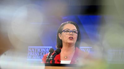 Labor gas plan a short term 'sugar hit', industry warns