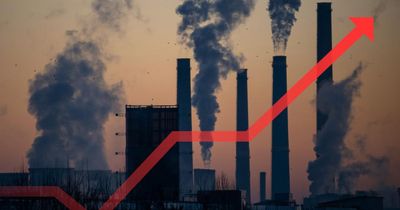 Scots 'get raw deal' on energy prices despite leading in renewables, top expert warns