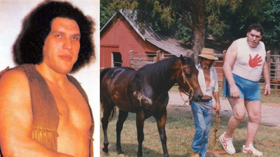 Estate Auction Details: André the Giant’s 46-acre ranch failed to meet reserve; post-sale deal finally closed