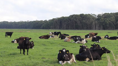 Billionaire wins appeal overturning A$23.4 million tax bill tied to Tasmania's Woolnorth dairy estate
