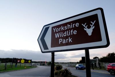 Man who died after being attacked by tiger was child actor who appeared on BBC