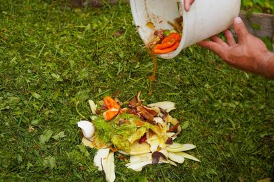 How to Compost Spent Vegetable Plants Safely