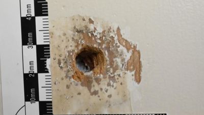 Bedroom door gun marks may hold key to cop murder trial
