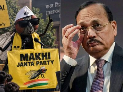 Makhi Janta Party takes off with 3.4 lakh Instagram followers after Chief Justice of India said 'hammer to kill a fly'; MJP willing to partner with Abhijeet Dipke's CJP
