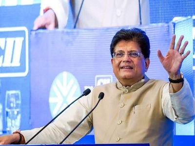'Don't worry': Piyush Goyal sends a message to the world on India-US ties
