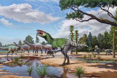 New species of dinosaur discovered from fossil ‘overlooked’ for over 100 years