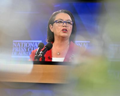 Australian industry reliant on gas for ‘foreseeable future’, resources minister tells press club