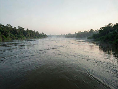 The Ganges Shark: India's River Shark That Almost No One Has Seen Alive
